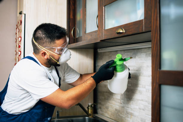 Best Bed Bug Extermination  in Oak Hills, PA