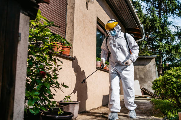 Flea Control Services in Oak Hills, PA