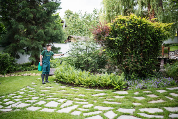 Best Bird Control  in Oak Hills, PA