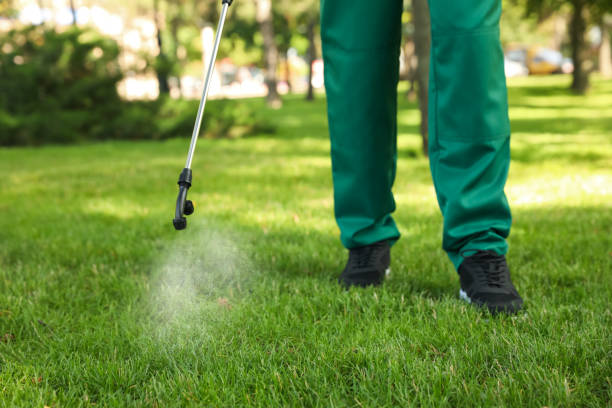Best Wasp Removal Services  in Oak Hills, PA