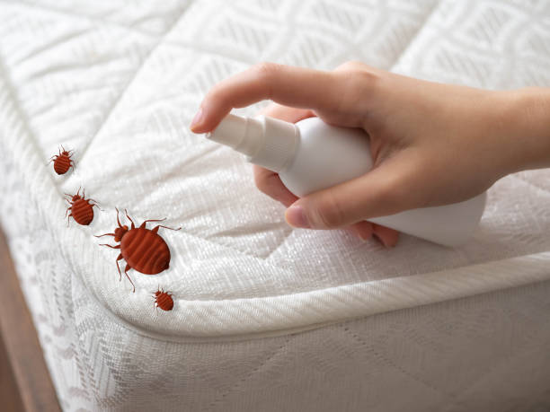 Best Residential Pest Control  in Oak Hills, PA