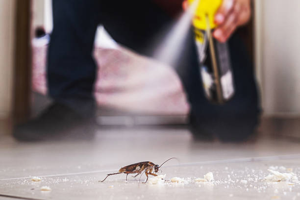 Best Affordable Pest Control Services  in Oak Hills, PA