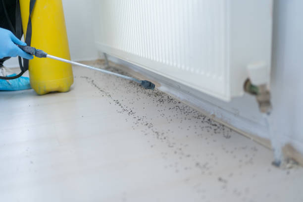 Best Commercial Pest Control Services  in Oak Hills, PA